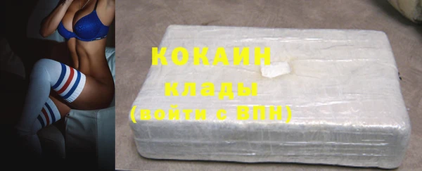 индика Арсеньев