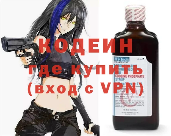индика Арсеньев