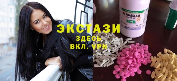 индика Арсеньев