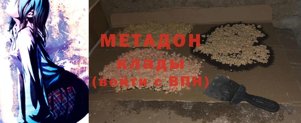 индика Арсеньев
