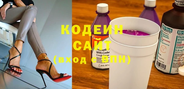 индика Арсеньев