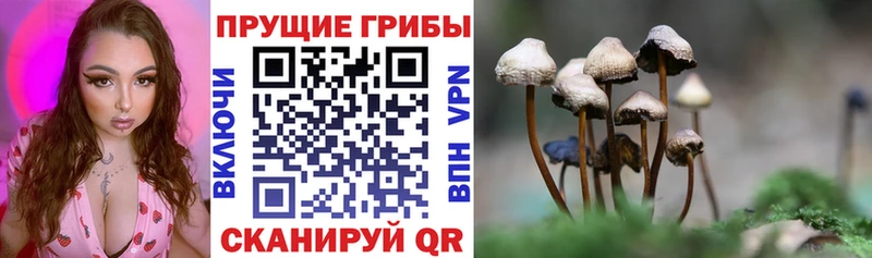 Псилоцибиновые грибы Magic Shrooms  Купить закладки  Усть-Лабинск 